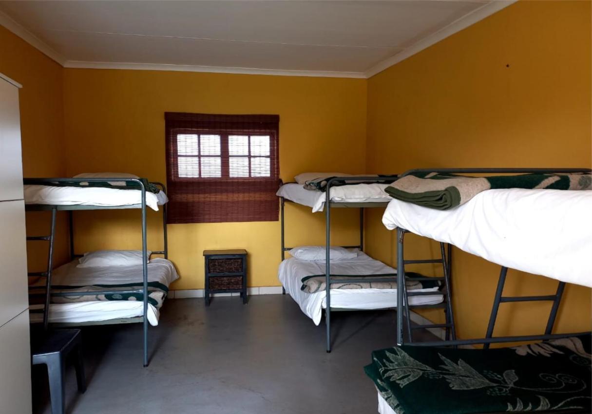 Backpackers Connection @ Jnb Airport Hostel Бенони Екстериор снимка